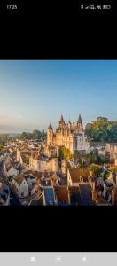 a view of a city with a large building at Agréable logement à Loches in Loches +3 photos