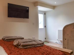 a living room with two pillows on a red rug at The Cowshed - Uk50283 in Earl Sterndale +7 photos