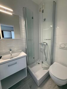 a bathroom with a shower and a toilet and a sink at Guesthouse Kurelic Rab in Kampor +59 photos
