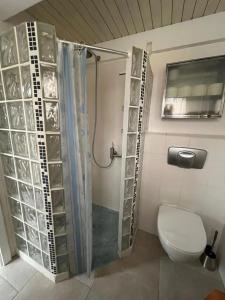 a bathroom with a shower and a toilet in it at NurdachZeit – Ferienhaus in Schellbronn in Neuhausen +22 photos