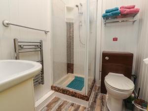 a bathroom with a shower with a toilet and a sink at Number 3 in Blackpool +7 photos