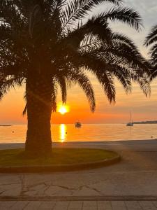 a palm tree in front of the ocean with a sunset at Apartments Niko Novalja in Novalja