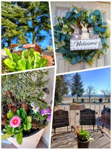 a collage of pictures of plants and a welcome wreath at KRK stop near airport in Cholerzyn