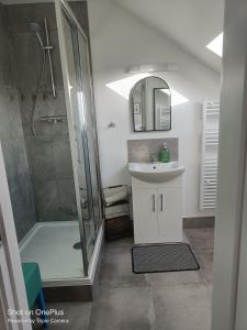 a bathroom with a shower and a sink and a mirror at Drumquin Accommodation in Ennis