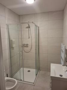 a bathroom with a shower and a toilet and a sink at Cliff Top Accommodation in Spanish Point