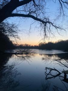 a view of a lake at sunset at Apartment am Waldrand Nichtraucher gemütlich und ruhig in Itzehoe +14 photos