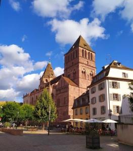 a large building with a clock tower on top of it at Duplex Centre historique in Strasbourg