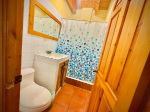 a small bathroom with a toilet and a shower at Hostal Dulces Sueños in Panajachel +35 photos