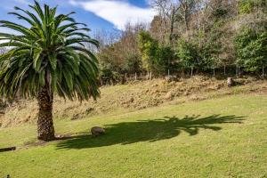 a sheep grazing next to a palm tree in a field at Vivienda Vacacional La Seronda in Ribadesella +28 photos