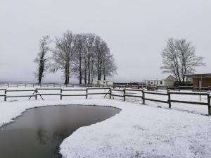 a pond covered in snow next to a fence at L'ancyze in Le Torp-Mesnil