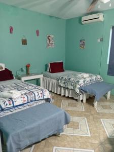 two beds in a room with blue walls at Fisherman's Inn Hotel Silver Sands, Duncans Bay in Duncans +49 photos