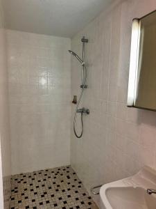 a bathroom with a shower and a sink at Monteurwohnung Inzlingen nahe Basel in Inzlingen