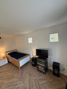 a room with a bed and a flat screen tv at Monteurwohnung Inzlingen nahe Basel in Inzlingen