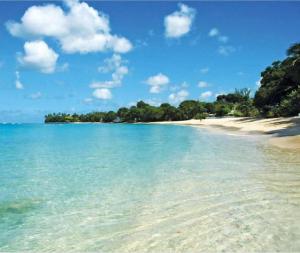 a beach with clear water and trees in the background at New Stylish 2BR Villa Walk to Beach Pool in Saint James