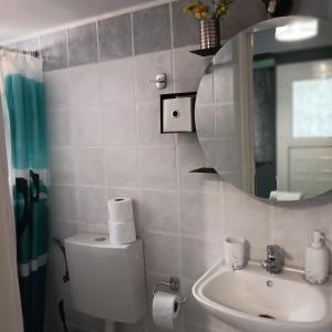 a bathroom with a toilet and a sink and a mirror at Mulberry house in Elafonisos +26 photos