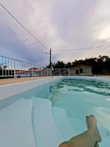 a dog laying in the water in a swimming pool at Cachoeira e Pousada dos Pássaros in Presidente Figueiredo
