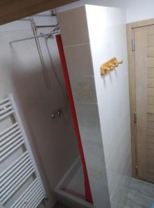 a shower in a bathroom with a red hose at Studio Mont d'Arbois in Megève