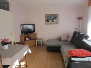 a living room with a couch and a tv at APARTMAJI VALTER in Srpenica
