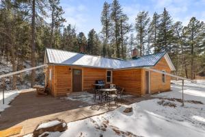 a cabin in the woods in the snow at Grizzly Bear Creek- Mt Rushmore Views- Hot tub in Keystone