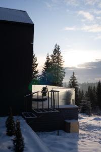 a building with snow on the ground and trees at Vistachalet in Yablunytsya +18 photos