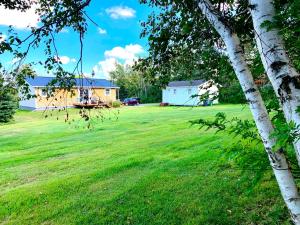 a view of a yard with a house and a tree at 8 Clarence Ln in Cavendish