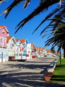 a street in a town with houses and a palm tree at Cais 75 Studios & Suites in Aveiro
