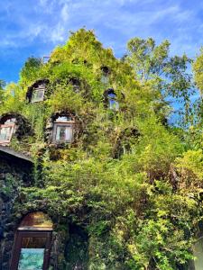 an ivy covered building with windows and bushes at Casa Encantada HuiloHuilo in Puerto Fuy