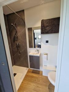 a bathroom with a shower and a sink and a mirror at Tiny House, 12mn du Parc, Terrasse & Clim in Châteaumur +11 photos