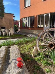 a group of mushrooms sitting on a rock in front of a building at CASA QUANZITO -Casa intera con giardino e parcheggio privato, ideale per famiglie in Dervio +46 photos