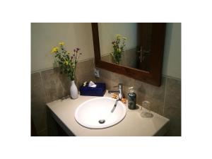 a bathroom sink with a mirror and flowers on it at Narendra Guest House in Ubud