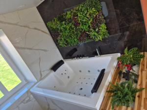 a white sink in a bathroom with plants at La clé des songes in Cellefrouin +1 photo