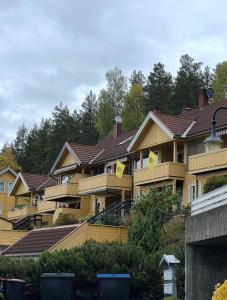 a row of houses with brown roofs at Marits residense in Kongsberg