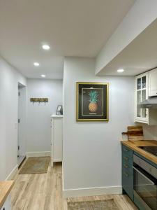 eine Küche mit einem Gemälde einer Ananas an der Wand in der Unterkunft Charming Full Basement Unit in Hamilton + 3 Fotos