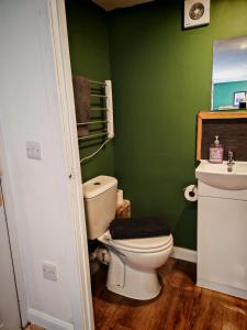 ein grünes Badezimmer mit Toilette und Waschbecken in der Unterkunft Wee Shot in Tain
