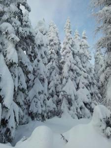 Zimmer im Lungau durante el invierno