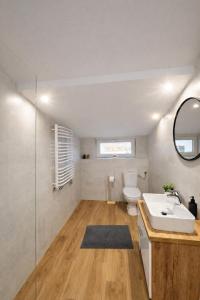 a bathroom with a sink and a toilet and a mirror at Apartamenty Nad Pilicą - Klimatyzacja - Sulejów in Sulejów +69 photos