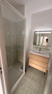 a bathroom with a shower and a sink at Appartement centre ville et terrasse in Brive-la-Gaillarde +24 photos