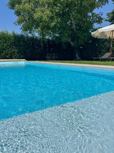 a swimming pool with blue water and an umbrella at b&b VillaGresana in Villafranca di Verona