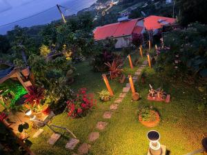 a garden with plants and flowers in a yard at GITE LE FILAO in Le Lorrain