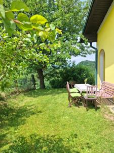 a picnic table and chairs on a lawn with a tree at Bed&Breakfast bei Sabine in Leutschach +8 photos