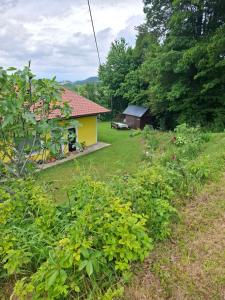 a garden with a yellow house in the background at Bed&Breakfast bei Sabine in Leutschach