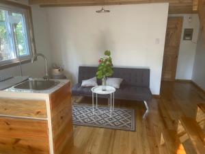 a living room with a couch and a table with a plant at Jonathans Cabins in Utila