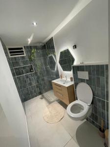 a bathroom with a toilet and a sink at Studio Élégance in Cayenne +1 photo