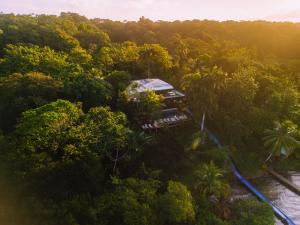 an aerial view of a train in the jungle at Bambuda Lodge in Bocas Town
