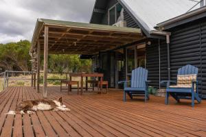 a dog laying on a deck with two chairs and a table at The Dunes Hideaway in Dolphin Sands