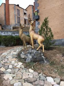 Zwierzęta zatrzymujące się w obiekcie Deer Villa