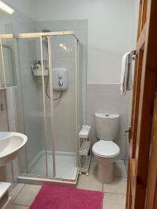 a bathroom with a shower with a toilet and a sink at Europe's last sunset in Waterville +11 photos