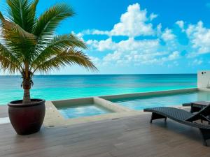 a palm tree in a pot next to a swimming pool at Casa La Aurora - Beachfront Studio and Rooftop Infinity Pool in Puerto Morelos