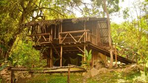a tree house in the middle of a forest at Rio Elemento Minca in Santa Marta