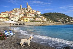 a dog standing on a beach in front of a town at Top Village in Cogoleto